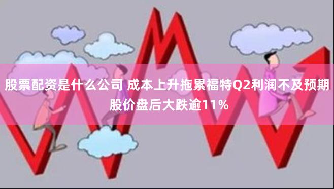 股票配资是什么公司 成本上升拖累福特Q2利润不及预期 股价盘后大跌逾11%